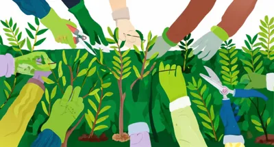 Illustration hedge - Image 1