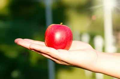 Illustration pat - Image 1