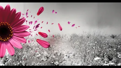 Illustration abating - Image 1