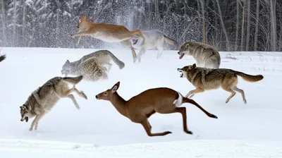 Illustration went - Image 1