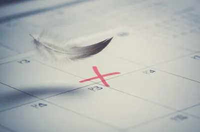 Illustration drops - Image 1