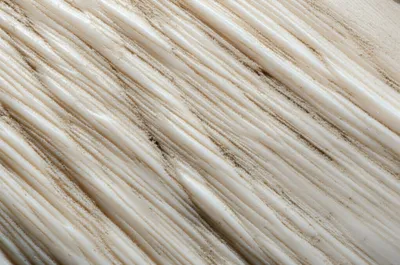 Illustration horny - Image 1