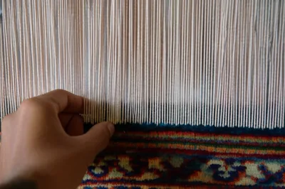 Illustration lash - Image 1