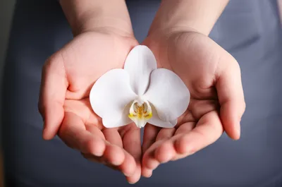 Illustration tender - Image 1