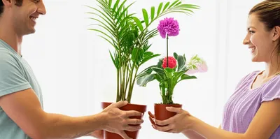 Illustration trading - Image 1