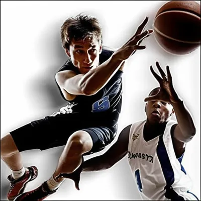 Illustration whips - Image 1