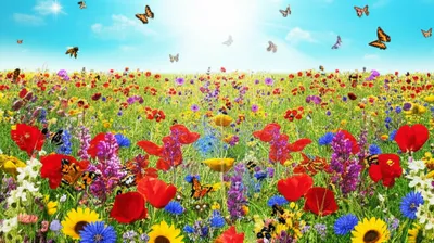 Illustration lots - Image 1