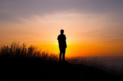 Illustration expectations