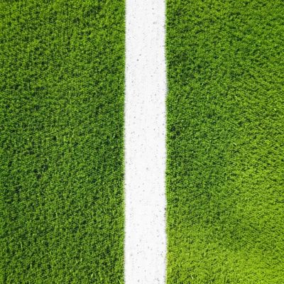 Illustration divides