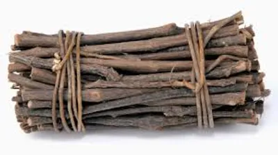 Illustration faggot - Image 2