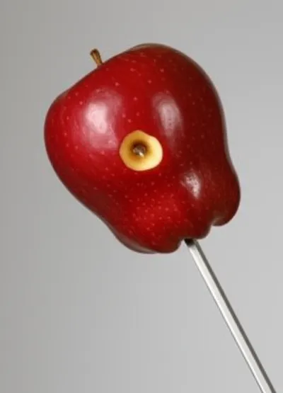 Illustration impaled