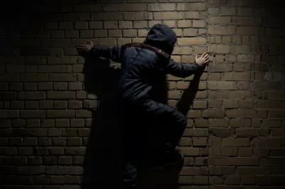 Hình ảnh minh họa ninjas - Ảnh 1