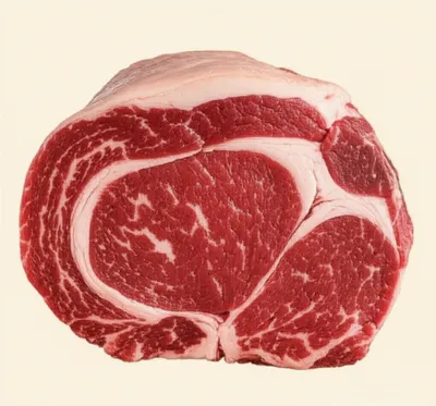 Illustration silverside - Image 1