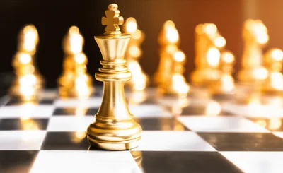 Illustration beauties - Image 1