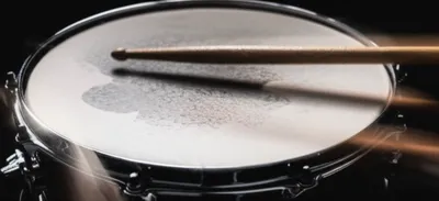 Illustration ruffed - Image 1