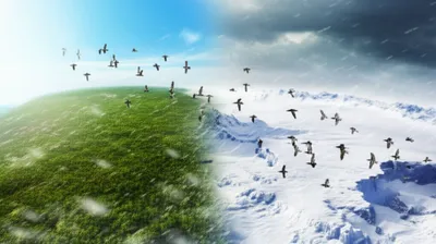 Illustration above - Image 1