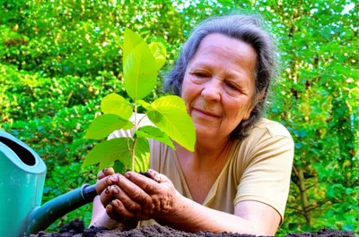 Illustration conservator