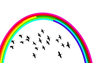 Illustration clearest - Image 1