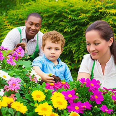 Illustration meddled - Image 1