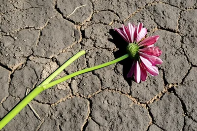 Illustration fatally - Image 1