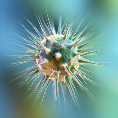 Illustration trichomes - Image 1