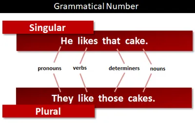 Illustration number - Image 2