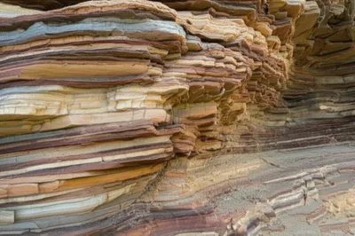 Illustration nip - Image 1