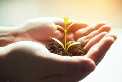 Illustration cradle - Image 1