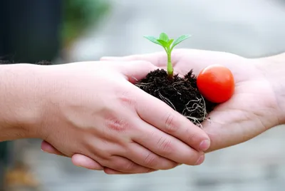 Illustration reciprocate