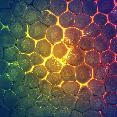 Illustration sinter - Image 1