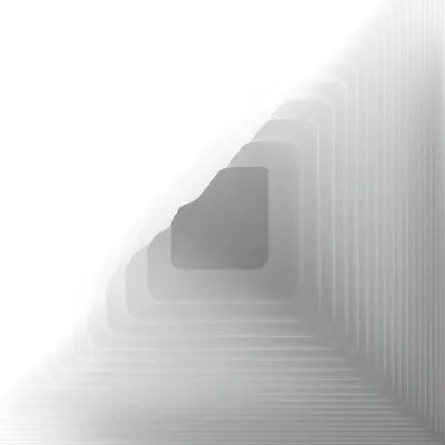 Illustration parrots - Image 1