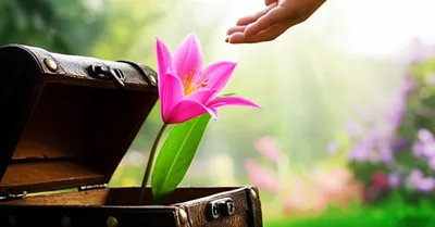 Illustration vest - Image 1