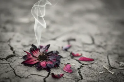 Illustration smoking - Image 1