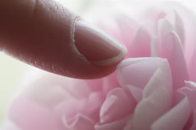 Illustration sensible - Image 1