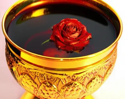 Illustration sophisticated - Image 1