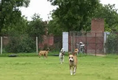 Illustration walk - Image 5