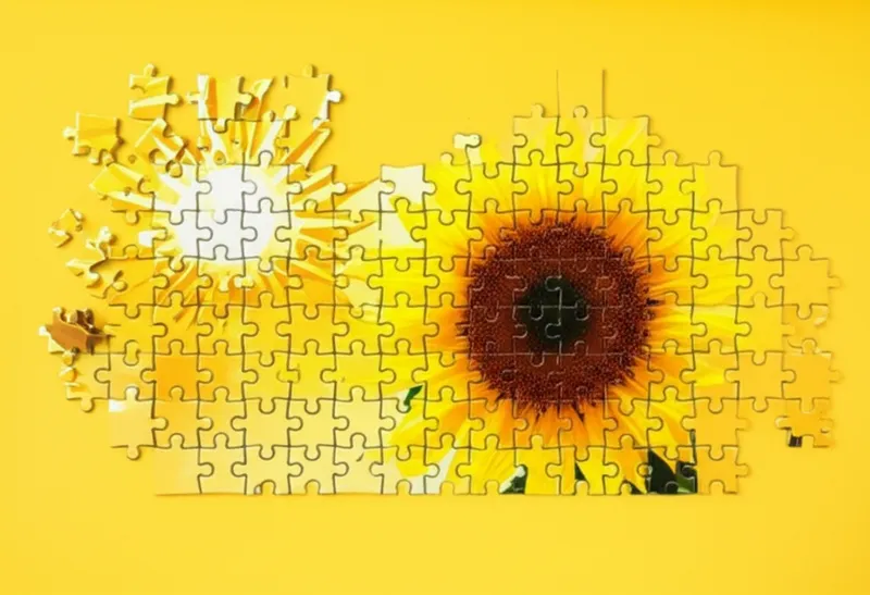 Illustration visuelle de compos: Composition - Image 1