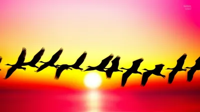 Illustration synchronize