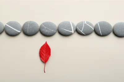 Illustration seldom - Image 1