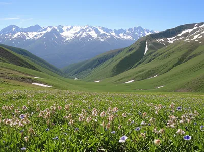 Illustration ranges - Image 1