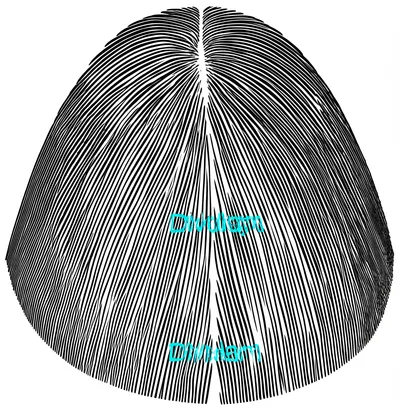 Illustration part - Image 1