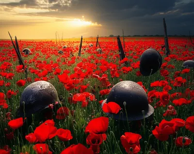 Illustration armistice