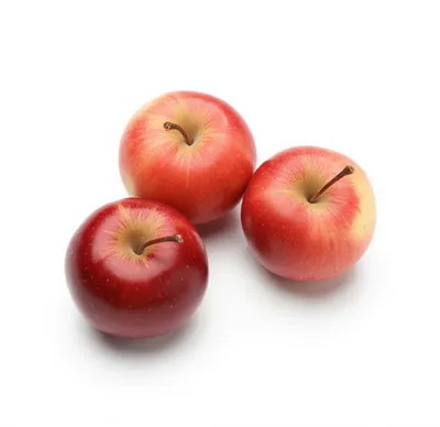 Illustration trio - Image 1