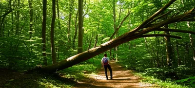 Illustration chanced - Image 1