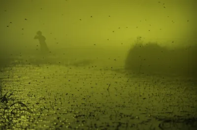 Illustration malaria - Image 1