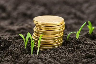 Illustration accrued - Image 1