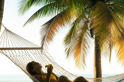 Illustration contented - Image 1