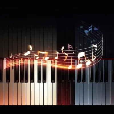 Illustration transitions - Image 1