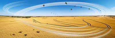 Illustration whirled - Image 1