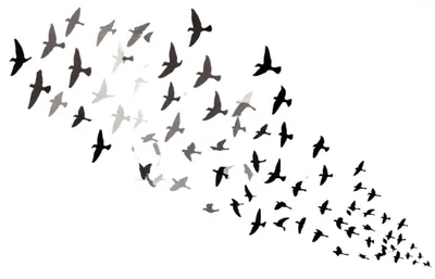 Illustration cull - Image 1